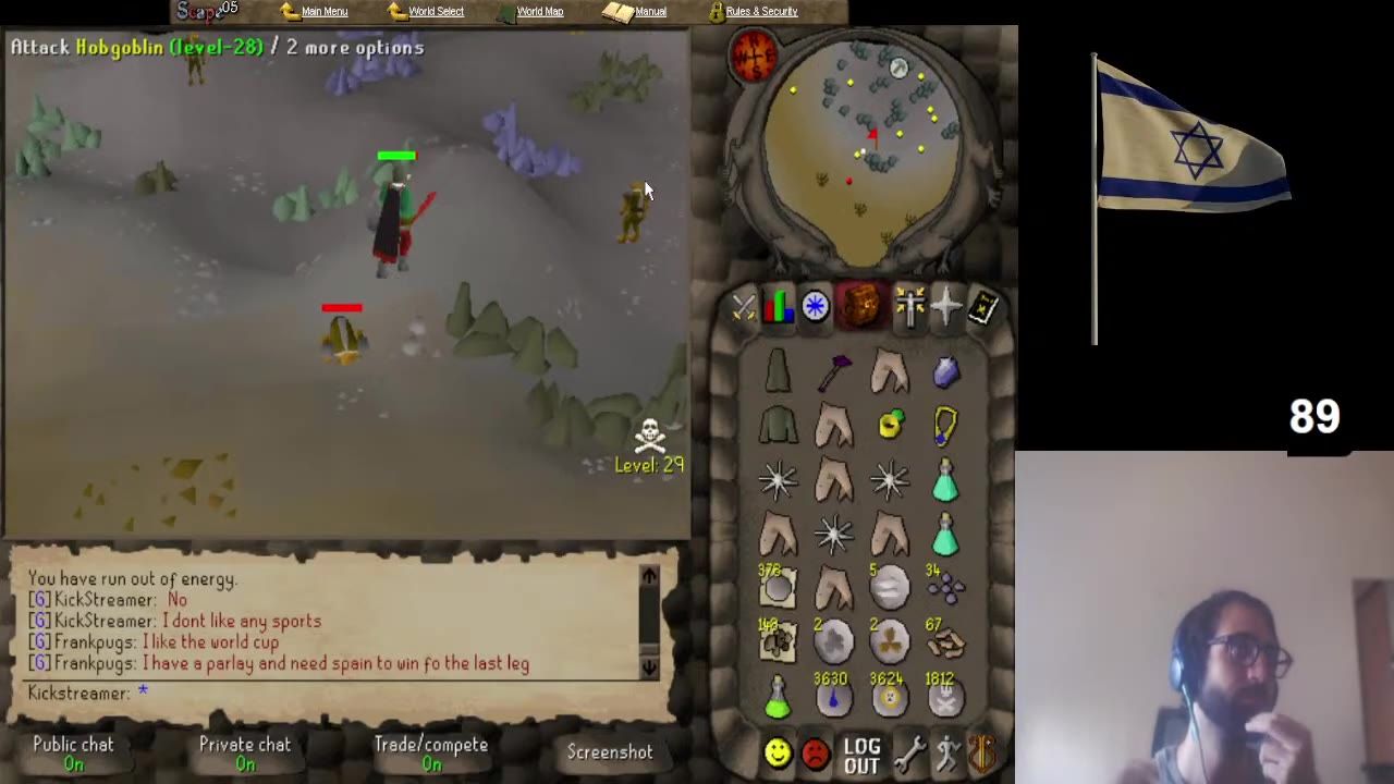 A game character fights a hobgoblin in a barren wilderness area while the interface shows level 29 and a skull icon.