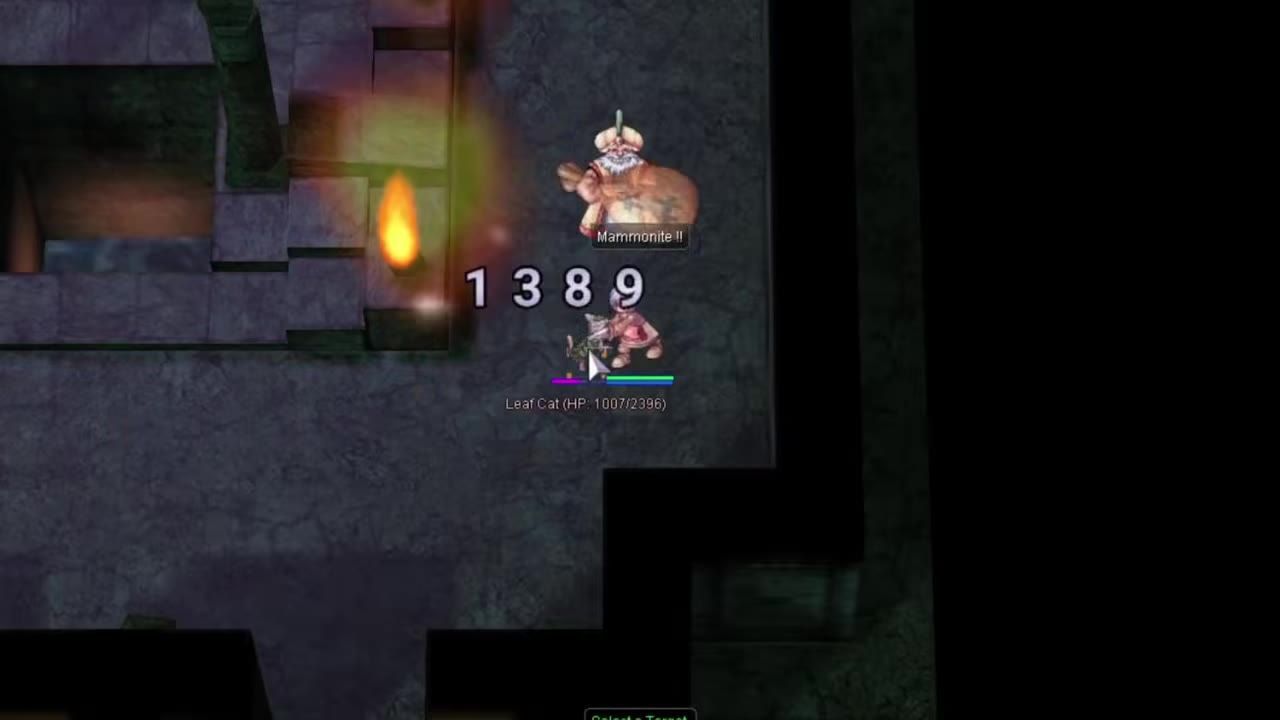 A character in an underground maze-like environment facing a Leaf Cat monster.