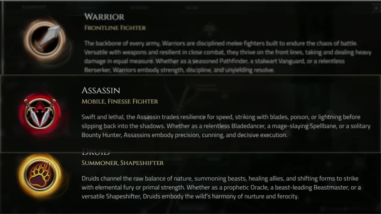 Description of Warrior, Assassin, and Druid classes and their roles.