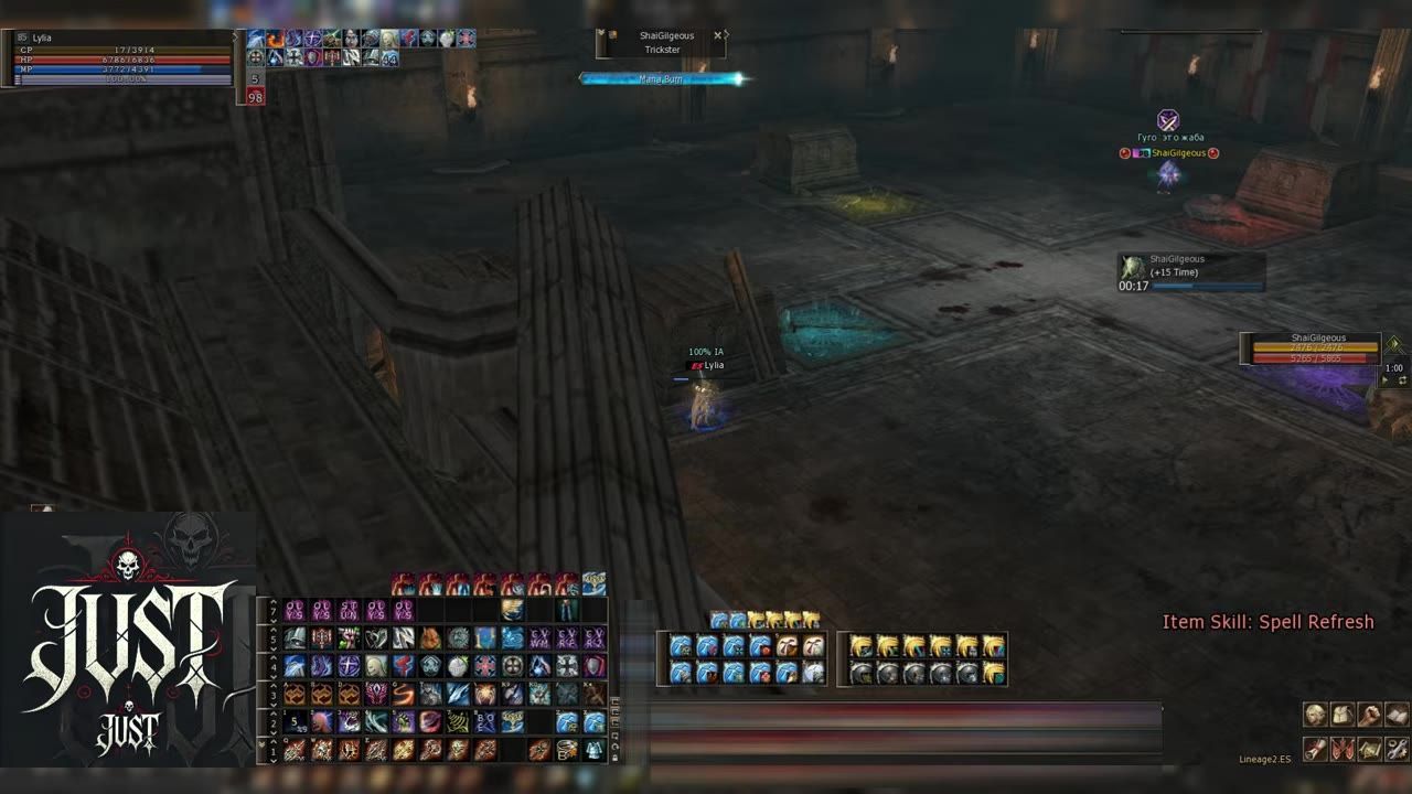 A gameplay screen with skill bar, character status, and skills displayed.