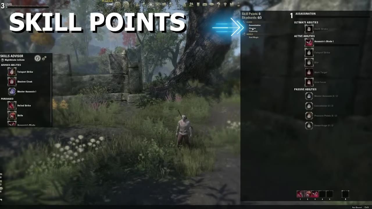 A game interface showing skill points menu with allocated abilities and highlighted class skill lines.