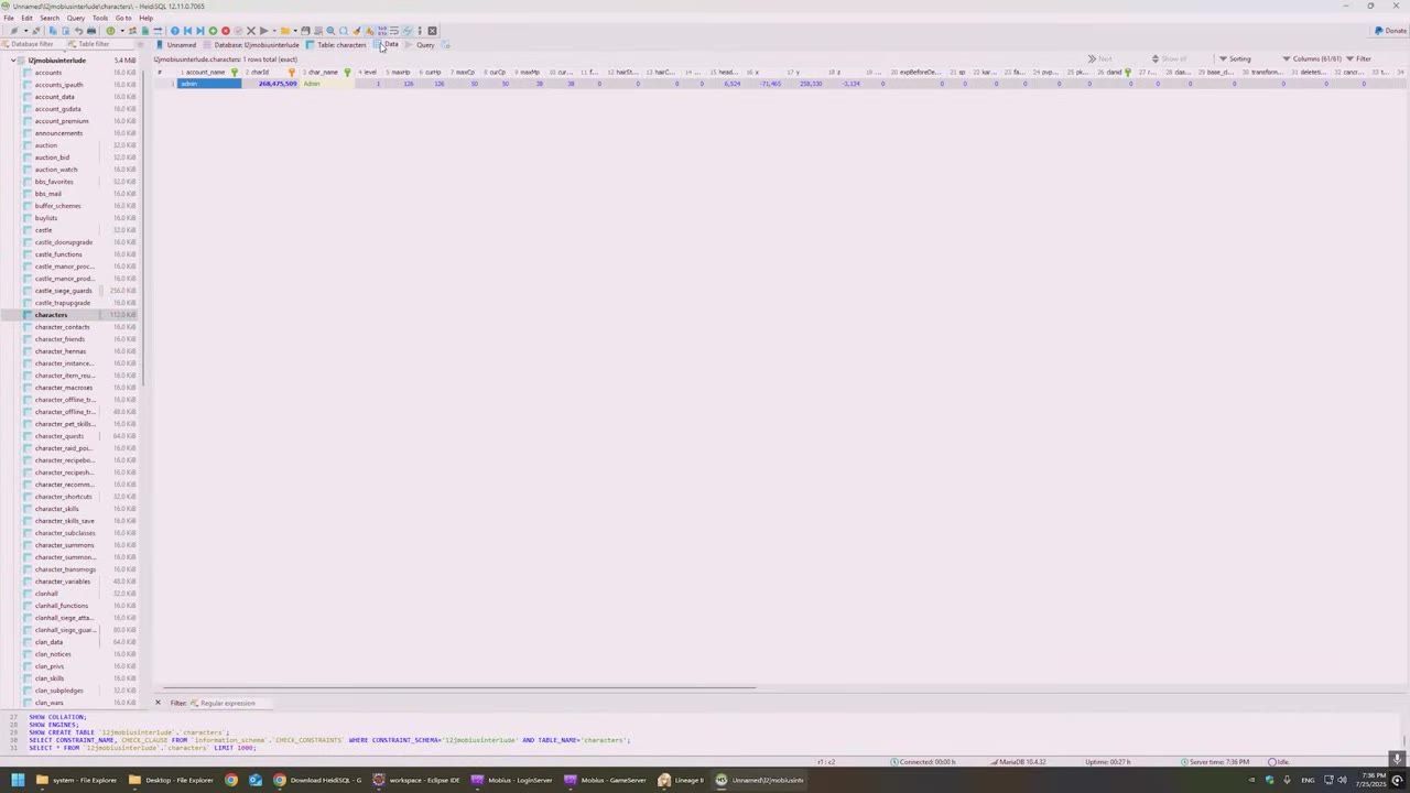 Heidi SQL interface with characters' table open and some data visible.