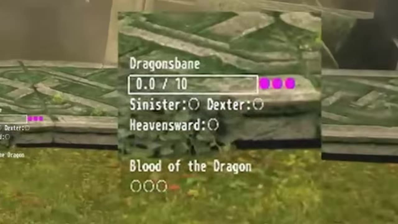 Gameplay interface showing the Dragoon's position sequence indicator and related stats.