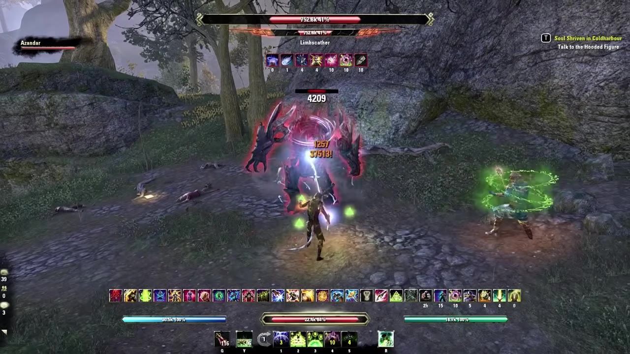 A game scene showing a character and their companion fighting enemies in a forest area.