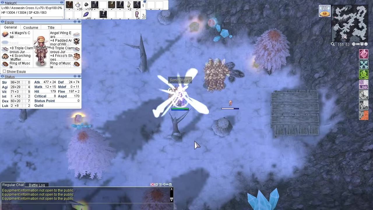 Game screenshot showing an Assassin character attacking a monster with the ability Sonic Blow II.