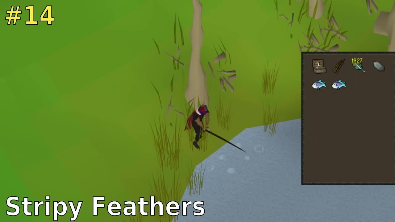 A character fishing near water with displayed inventory including rainbow fish and feathers.